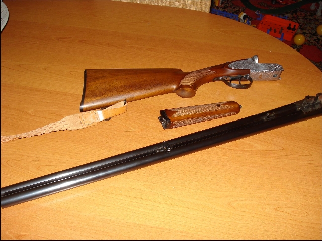 Boniotti.