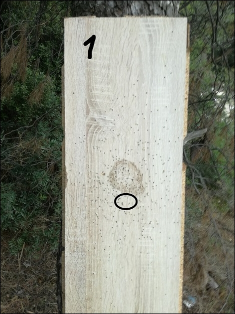 Δοκιμή στον πίνακα 1