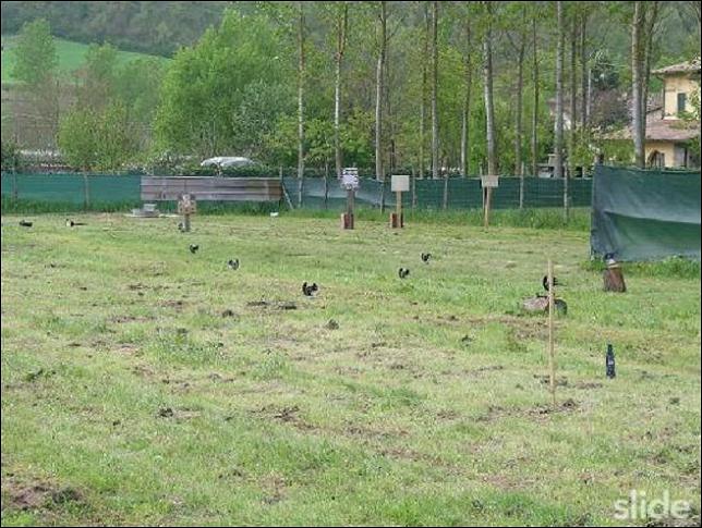 Σκοπευτήριο αεροβόλου μέσα στην πόλη, από πόλη κοντά στην Ανκόνα της Ιταλίας.