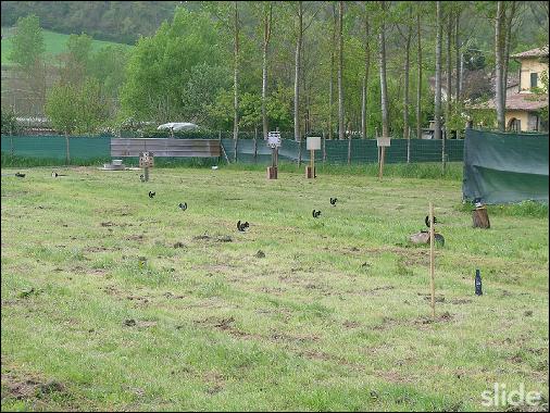 Σκοπευτήριο αεροβόλου Field Target στην Ιταλία, μια ώρα δρόμο από την Ανκόνα.
