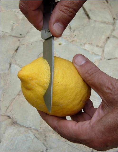 Η λάμα Opinel κόβει! Και αν χαλάσει αλλάζει χωρίς πρόβλημα, φθηνά και γρήγορα.