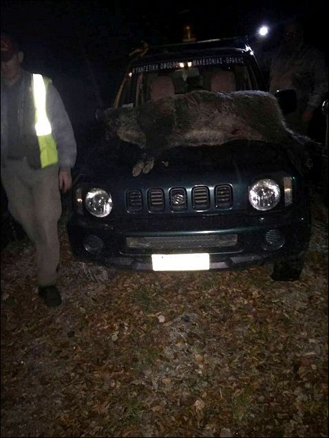 Σύλληψη λαθροθήρα