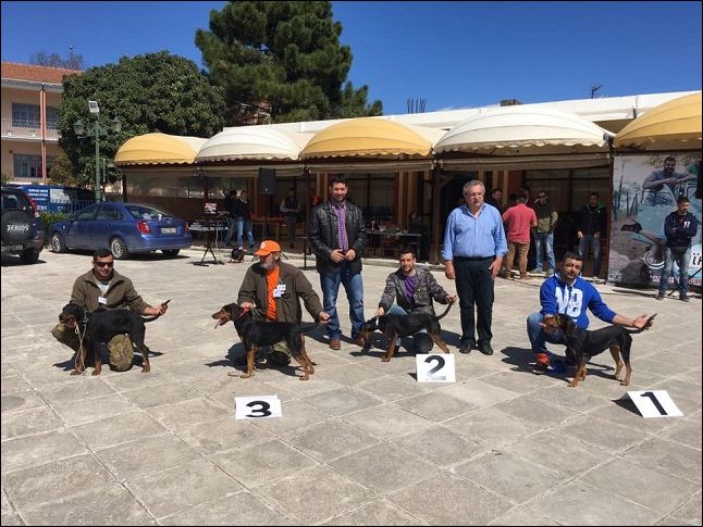 Σπάρτη, έκθεση μορφολογίας
