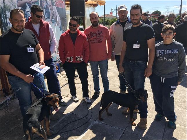 Σπάρτη, έκθεση μορφολογίας