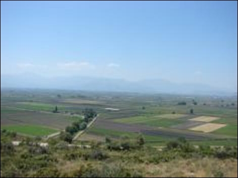 Κωπαΐδα.