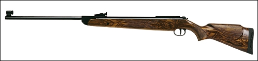 Diana 350 Magnum.