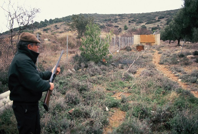 Δουλειά στον πίνακα για έλεγχο του σημείου σκόπευσης και του σημείου πρότασης του όπλου. Αυτή διαδικασία προσφέρει άπειρα περισσότερα από το κυνηγητό για την ιδανική γόμωση.