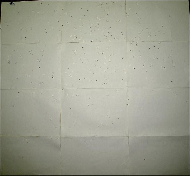 Φωτό 04. απόσταση 25m, 36γρ Νο 6+7 επιχαλκωμένα τα Νο6 και εν σειρά